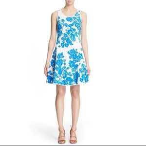 Women’s Sz. S Milly Blue/White Floral Fit & Flare